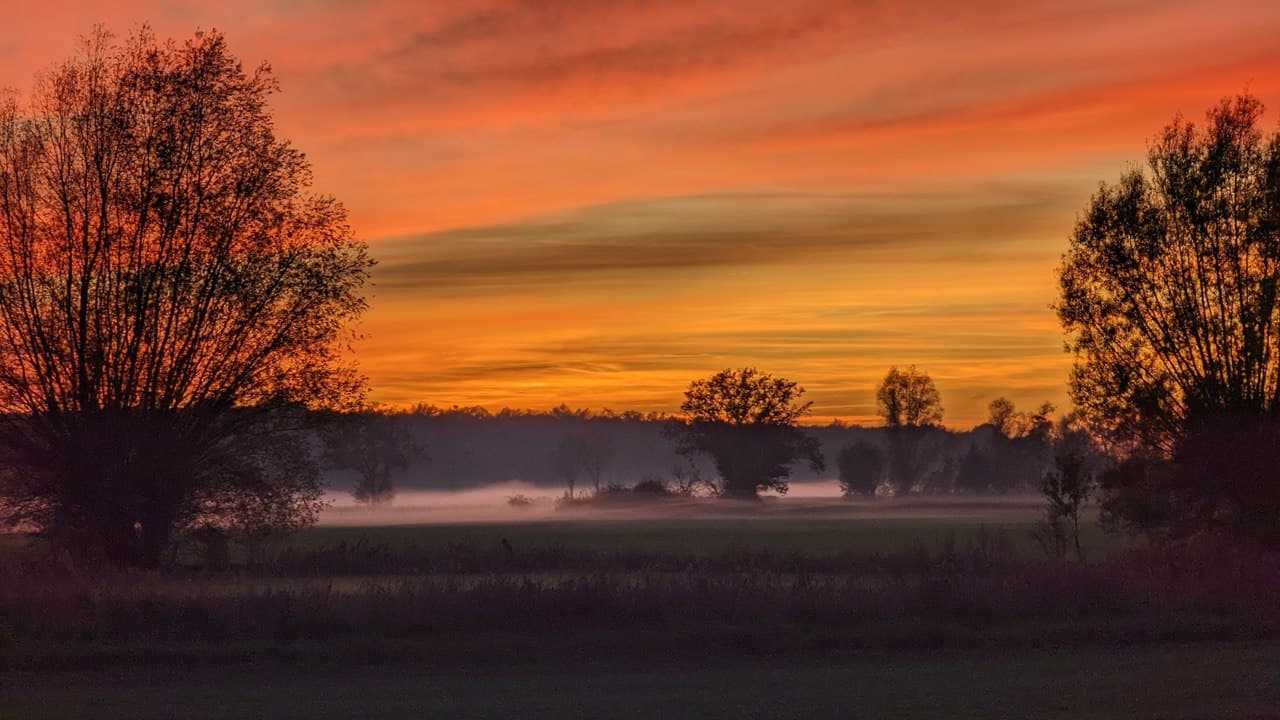 Gedenkbanner
