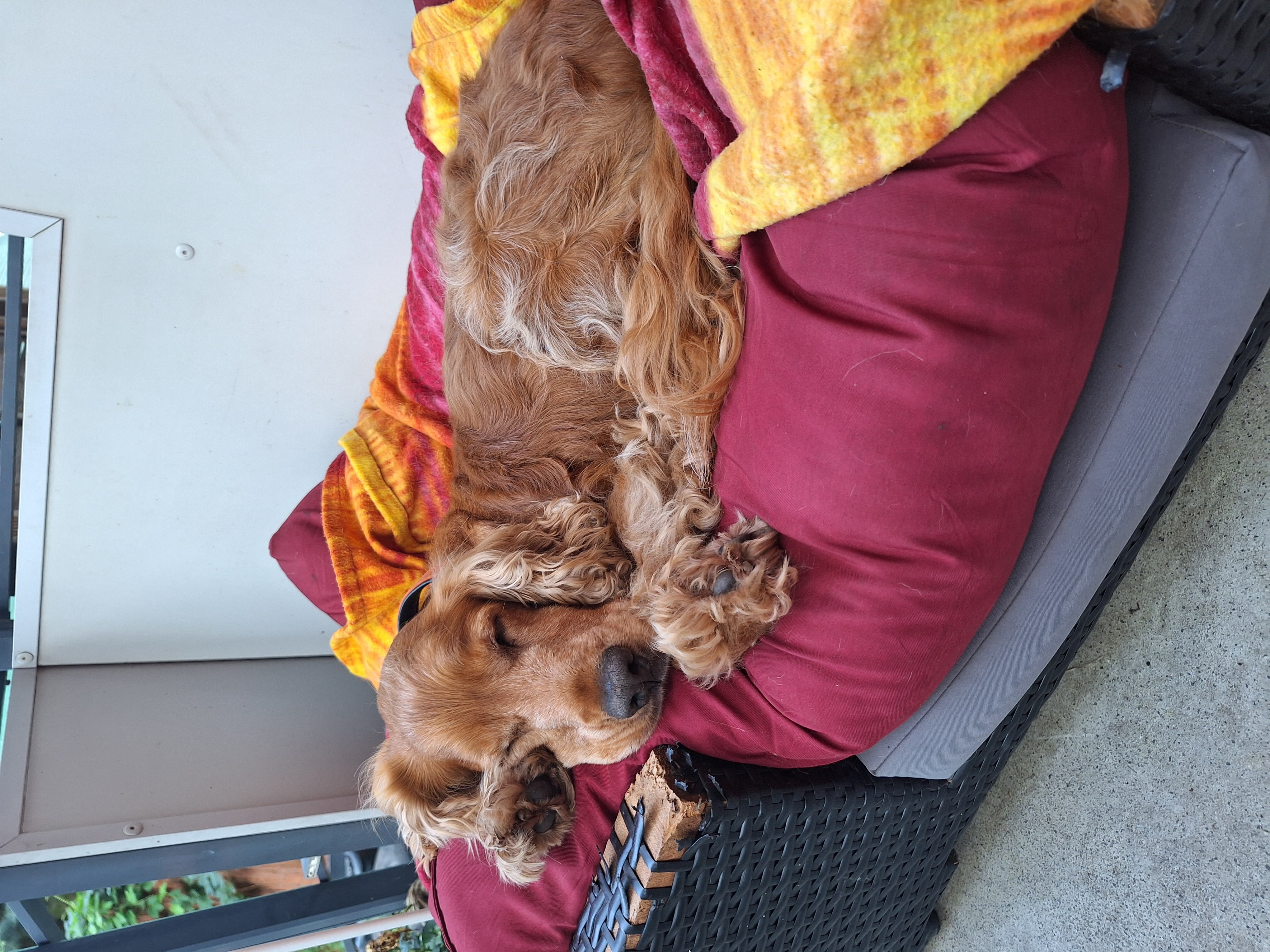Sunny Corleone
